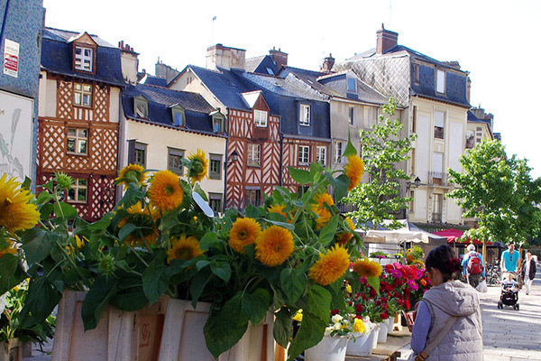 Découverte du marché des Lices