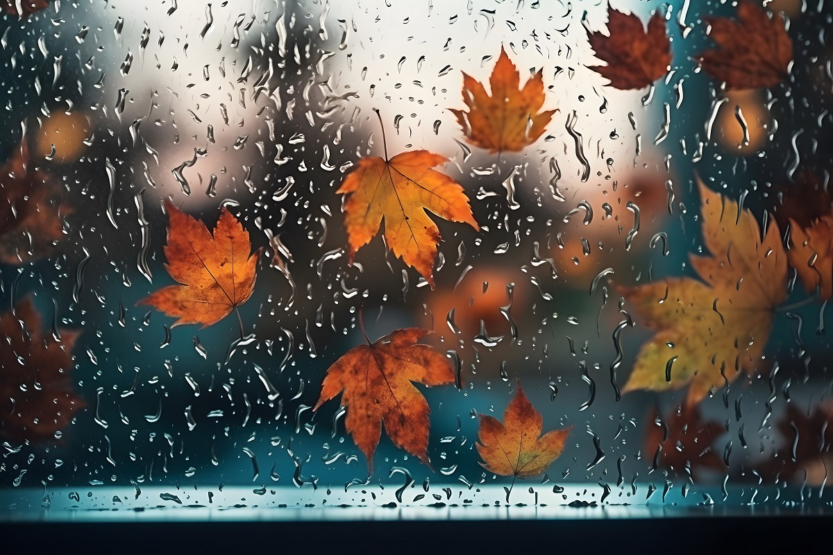 S'occuper à Rennes un jour de pluie